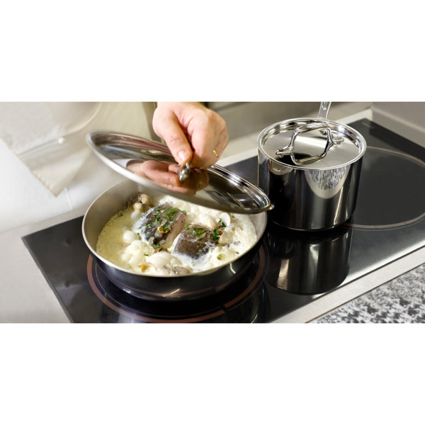 AllClad D3™ Stainless 10 Piece Stainless Steel Cookware Set & Reviews